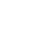 Termites